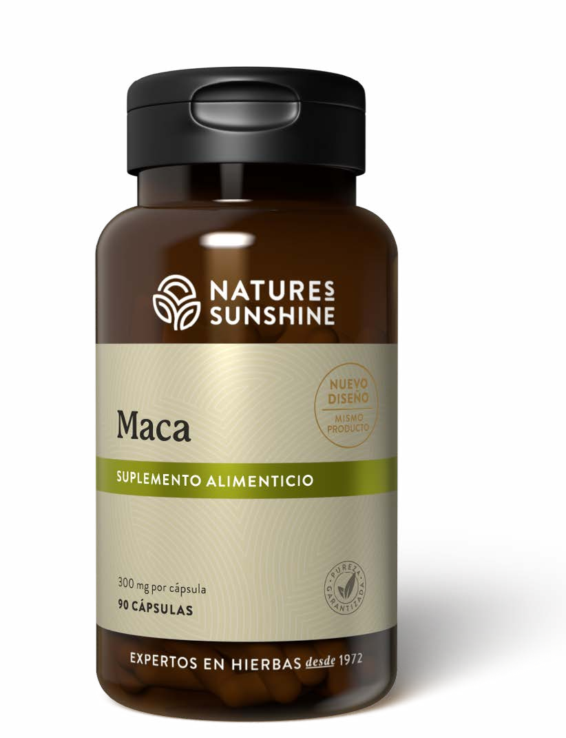 Maca